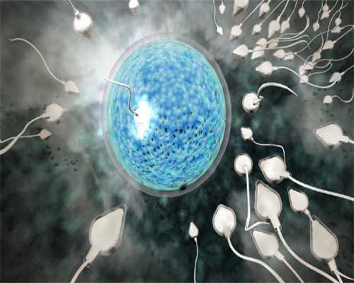 郝运助孕费用参考：不同套餐对比