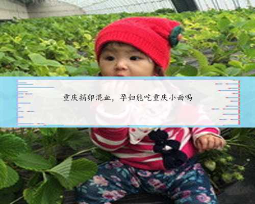 上海失独供卵生子价格表献出卵子让生命之树茁壮成长